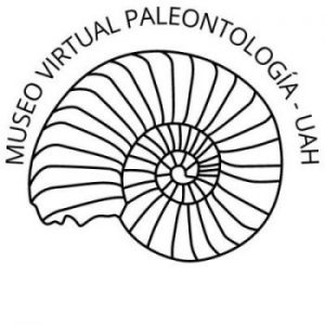 Museo Virtual de Paleontología
