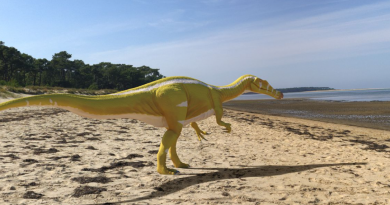 Descubierto en Castellón un dinosaurio depredador de 11 metros de largo: “Campeón amarillo”